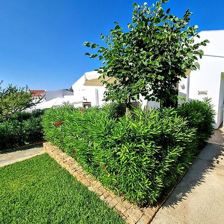 Ktima Amitsa Studios&Apartments Sarti Exterior foto