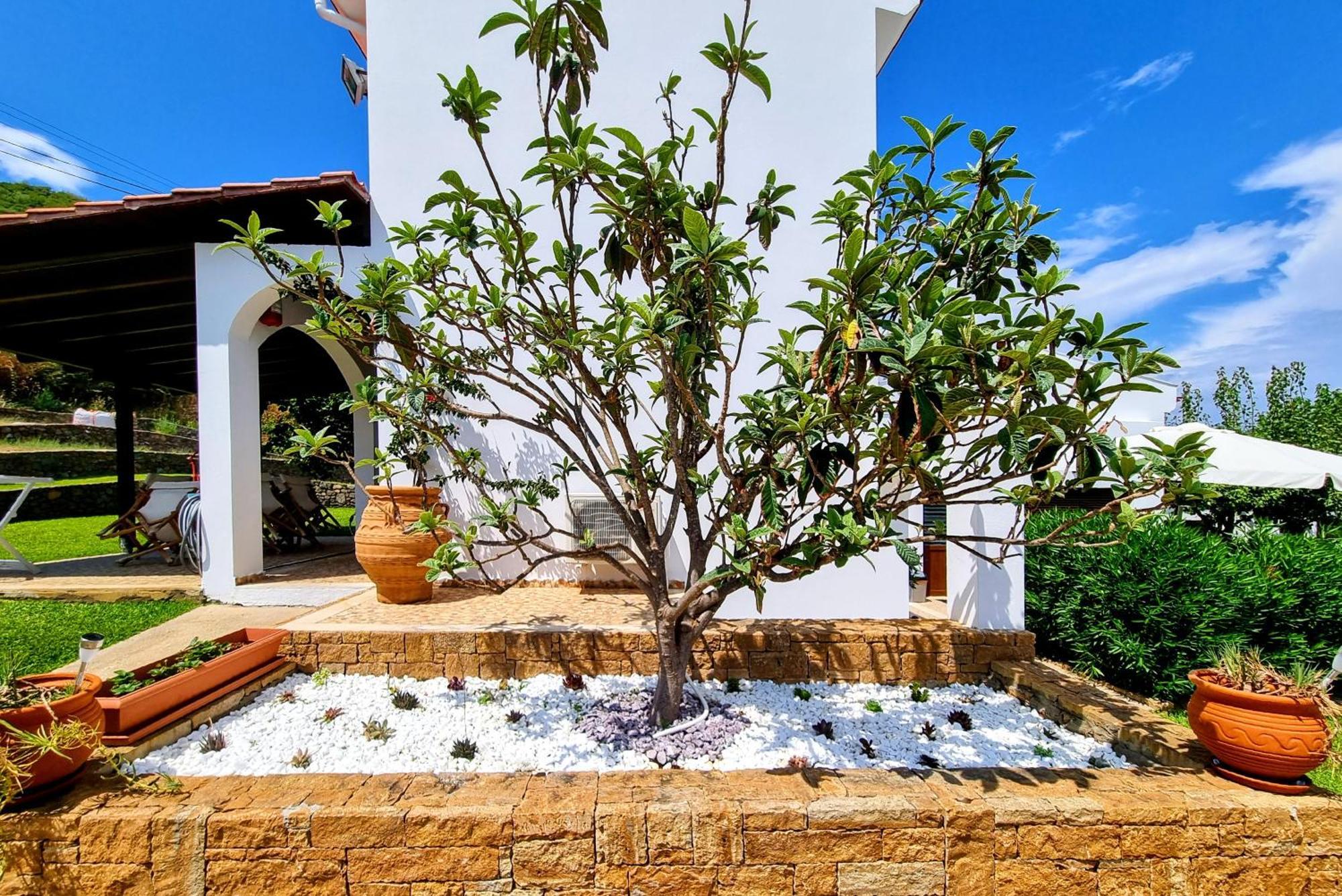 Ktima Amitsa Studios&Apartments Sarti Exterior foto