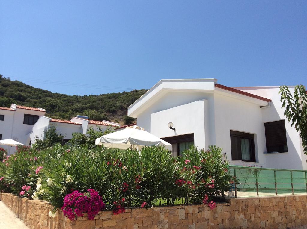 Ktima Amitsa Studios&Apartments Sarti Habitación foto